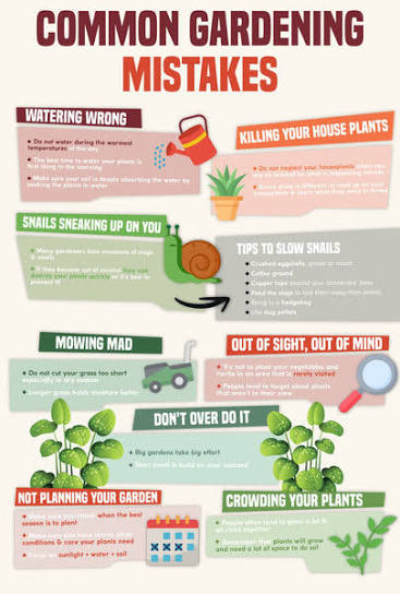 Common Mistakes To Avoid