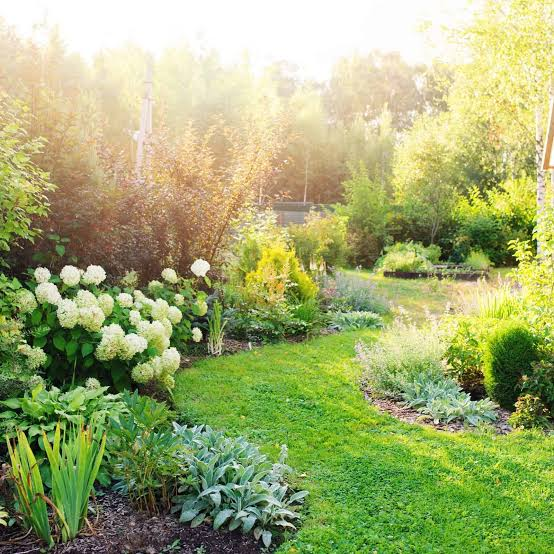 Create a Native Garden