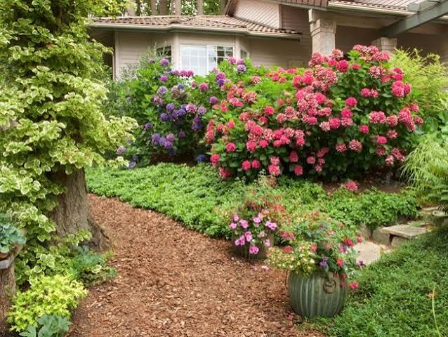 Beautiful Shade Garden
