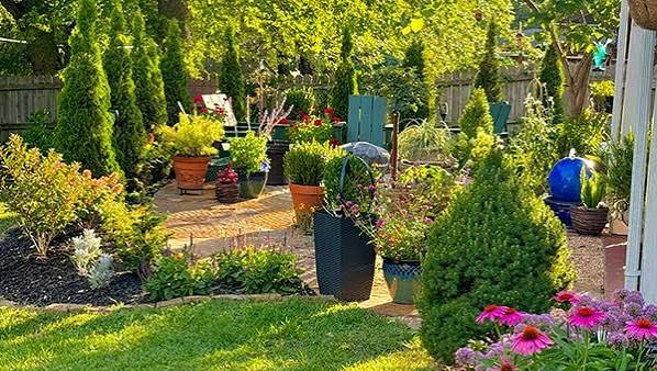 Best Plants for Small Gardens