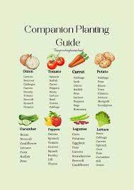 Companion Planting Chart for Vegetables