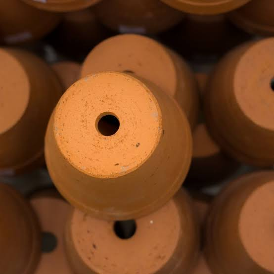 Choose a Pot With Drainage Holes