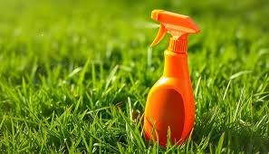 Healthier Greener Grass