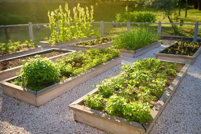 Greenhouse Gardening