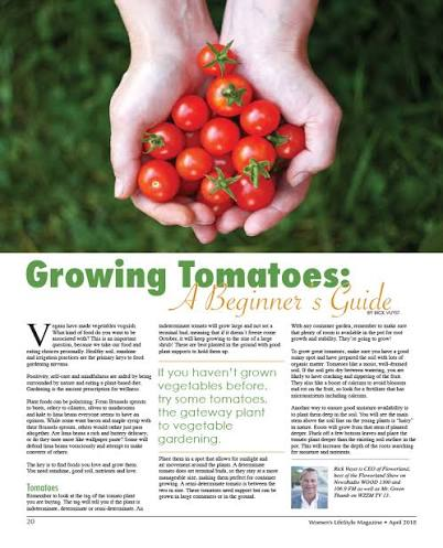 Best Tomato Growing Tips for Beginners