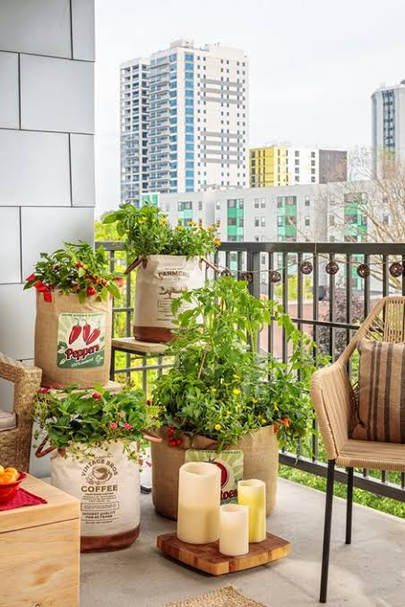Small Garden Ideas