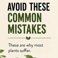 mistakes to avoid