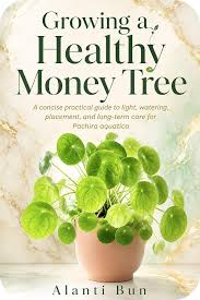Money Tree Plant Care