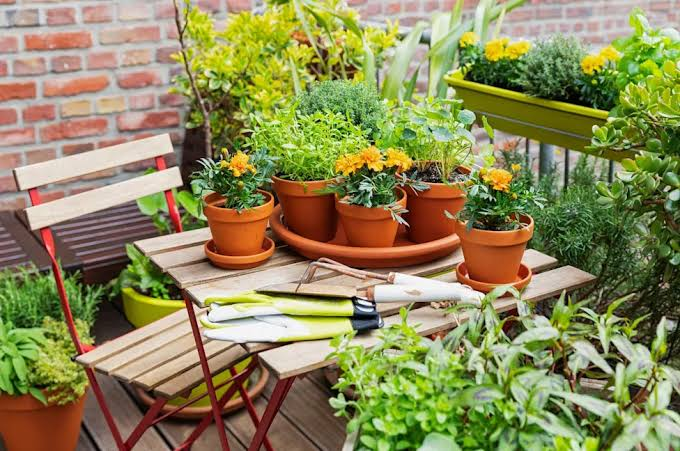 Small Garden Ideas