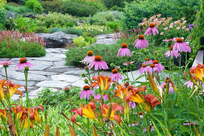 Pollinator-Friendly Garden