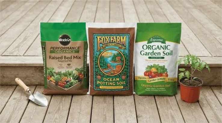 Best Potting Soil Options for Vegetables
