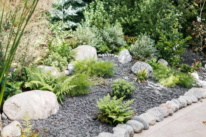 Low Maintenance Small Rock Garden