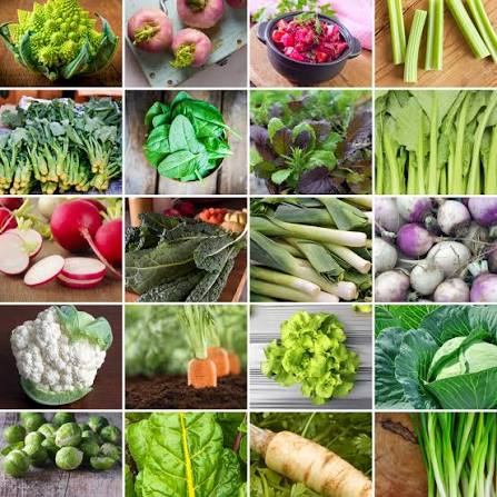 Winter Vegetables