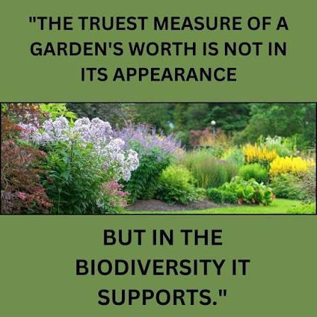 Native Gardening Is Worth Trying