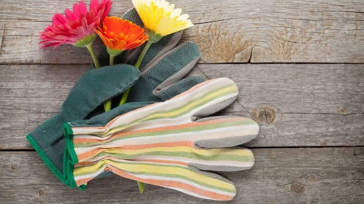 gardening gloves
