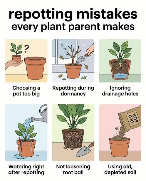 Common Mistakes
